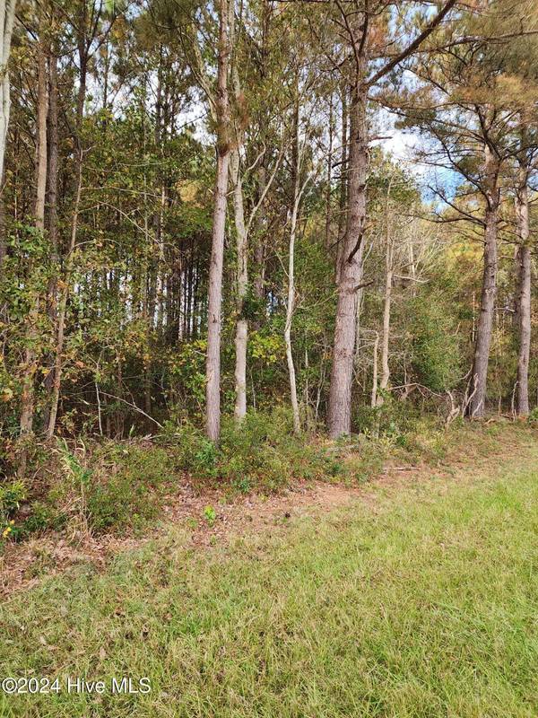 Willard, NC 28478,23.57 Ac Piney Woods RD