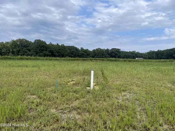 Grimesland, NC 27837,431 Lemonade LN