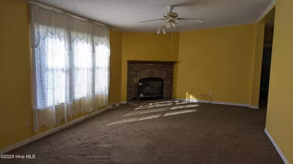 Pikeville, NC 27863,102 Bladestone PL