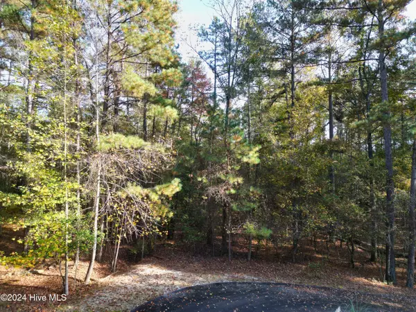 West End, NC 27376,151 Cobblestone PL