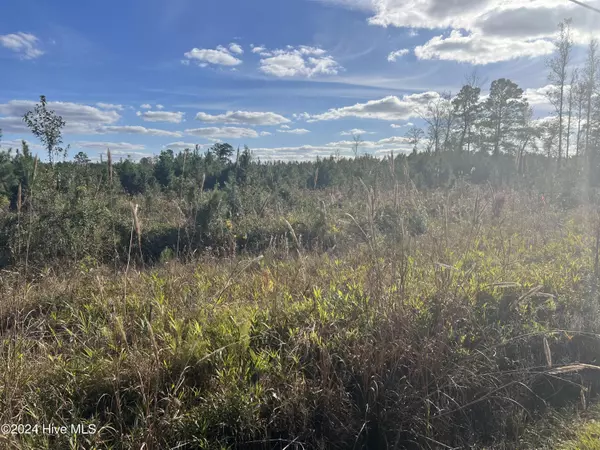 Robersonville, NC 27871,Lot 5 Us Highway 64