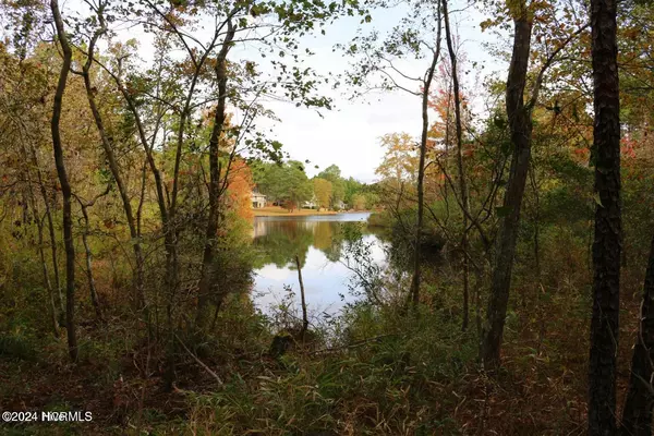 Jackson Springs, NC 27281,6 & 7 Brassie CIR