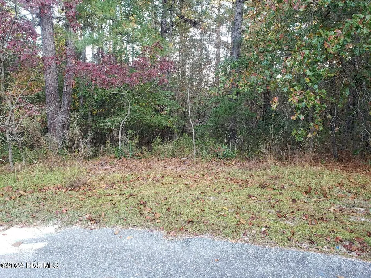 Jackson Springs, NC 27281,6 & 7 Brassie CIR