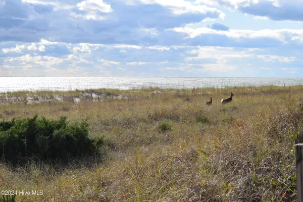 Holden Beach, NC 28462,239 Ocean BLVD W