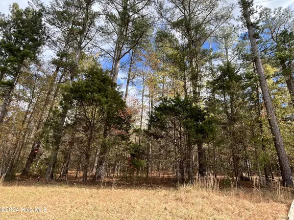 Bear Creek, NC 27207,000 Deane Beaver RD