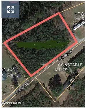 Scotland Neck, NC 27874,0000 Field, Loblolly DR