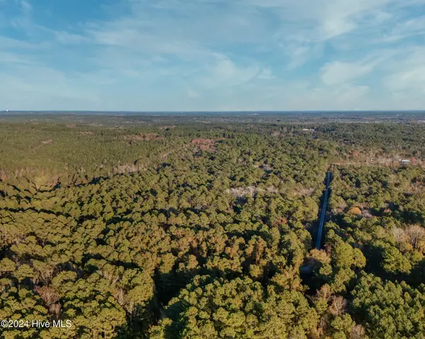 Vass, NC 28394,Lot 1 McGill RD