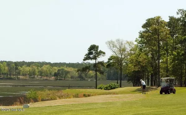 Shallotte, NC 28470,731 Loblolly DR SW