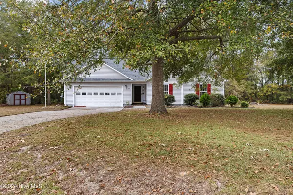 Richlands, NC 28574,206 Chokecherry S