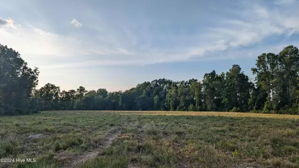 Whitakers, NC 27891,Lot 8 Nick Coley RD