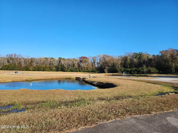 Whiteville, NC 28472,Lot #2 Misty LN