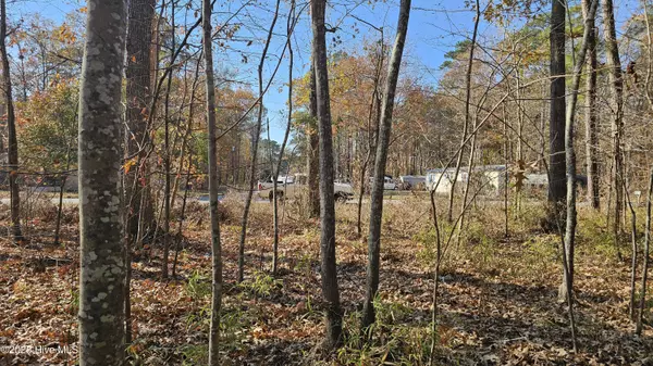 Hertford, NC 27944,184 Shady LN