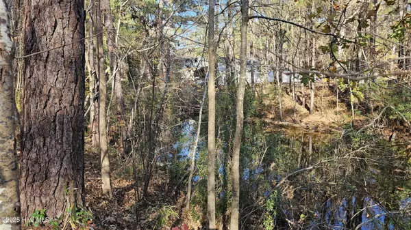 Hertford, NC 27944,184 Shady LN