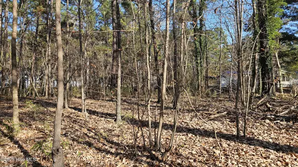 Hertford, NC 27944,184 Shady LN