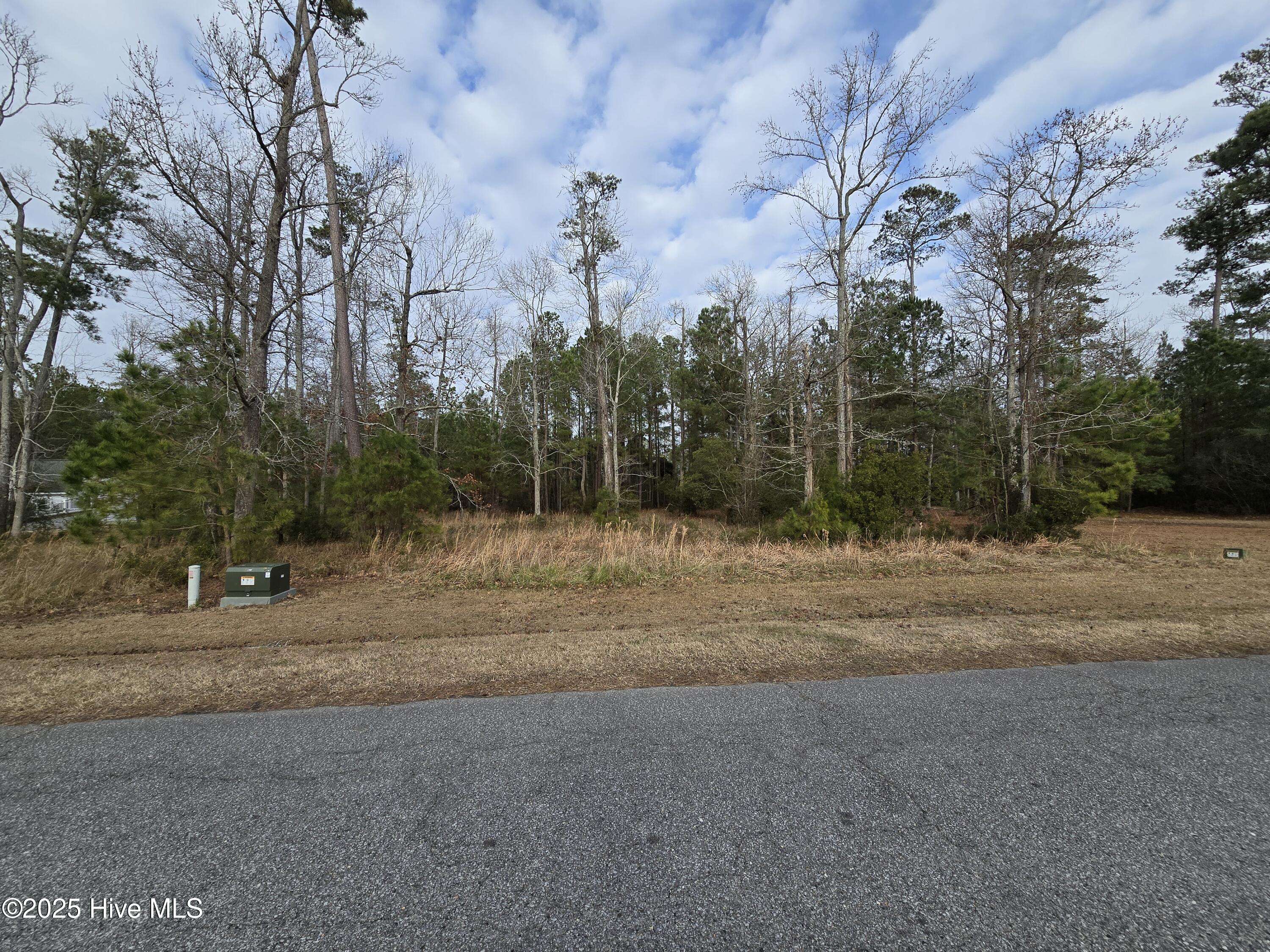 Belhaven, NC 27810,207 & 209 E Dowry CRK E