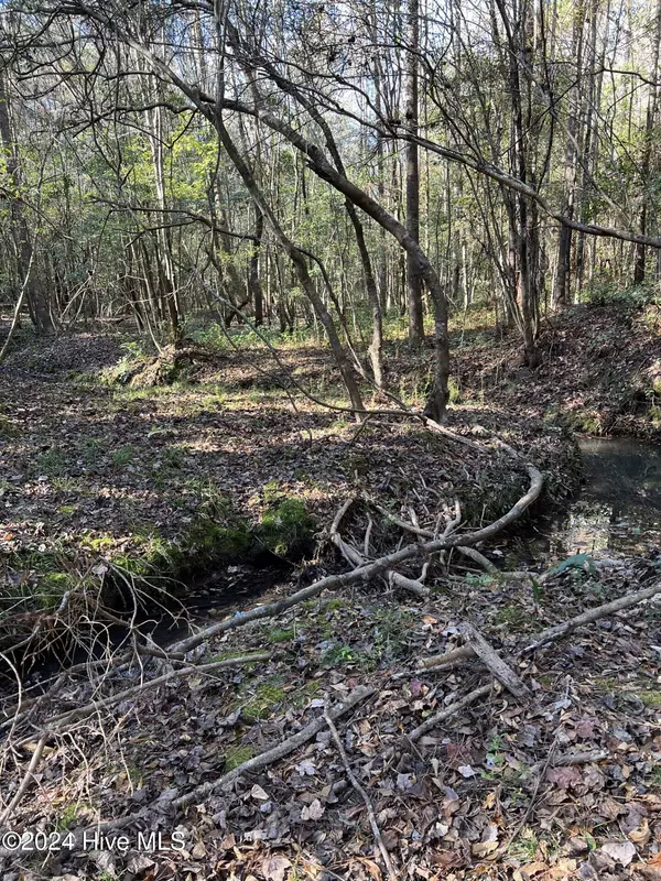 Rocky Point, NC 28457,210 Hwy