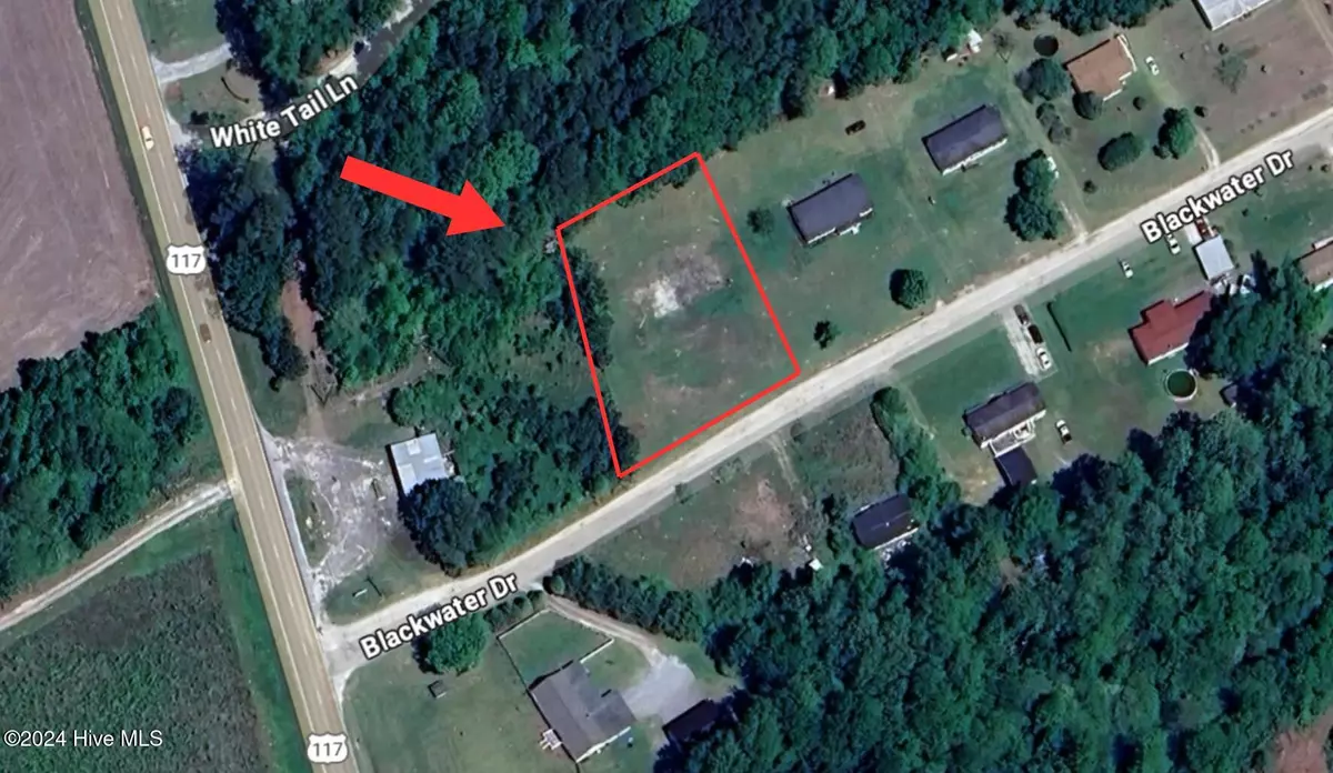 Willard, NC 28478,103 Blackwater DR