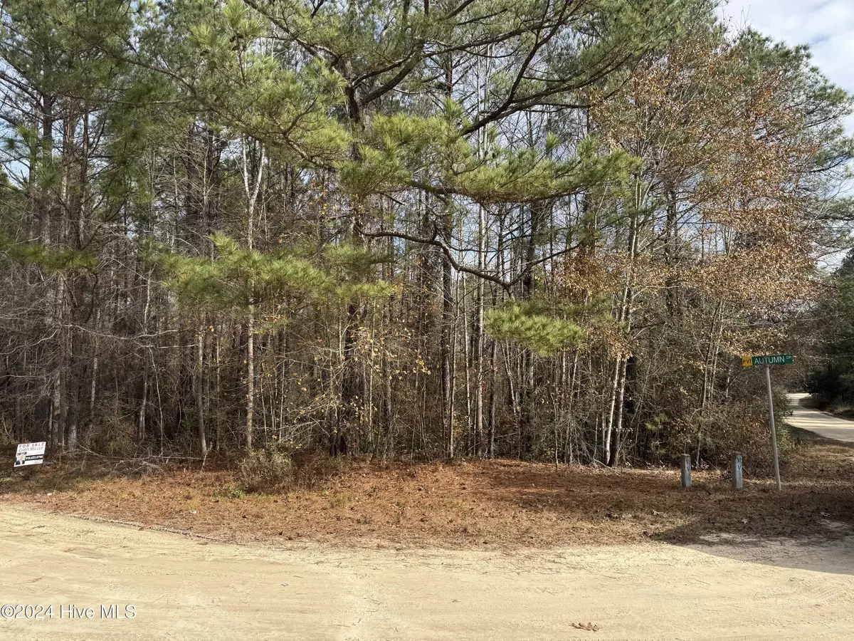 Vass, NC 28394,55 Autumn DR