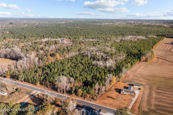 Maple Hill, NC 28454,32.02ac Nc 50 HWY