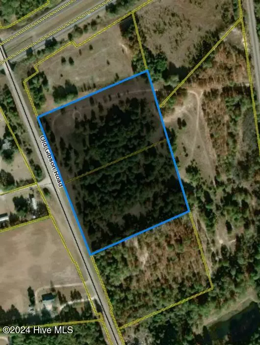 Hamlet, NC 28345,Tbd Old Gibson Road RD