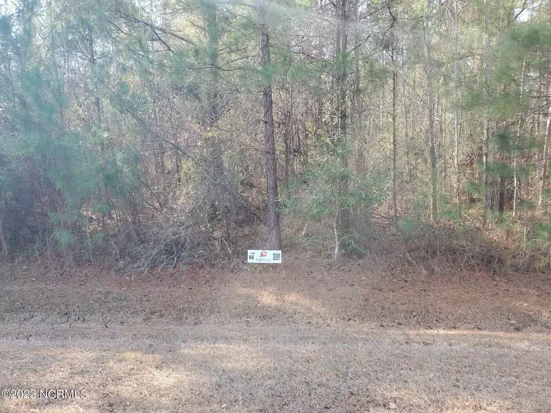 Lot 60 Eagle Trace DR, Blounts Creek, NC 27814