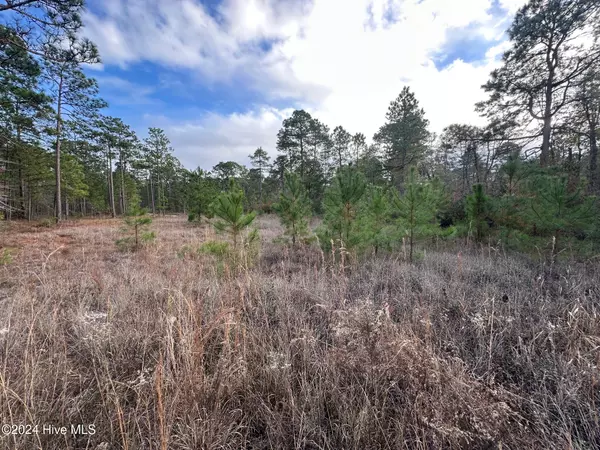 Harrells, NC 28444,Lot 292 S Horsepen RD