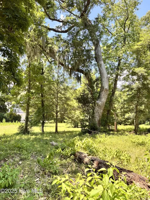 Sunset Beach, NC 28468,9088 Forest DR SW