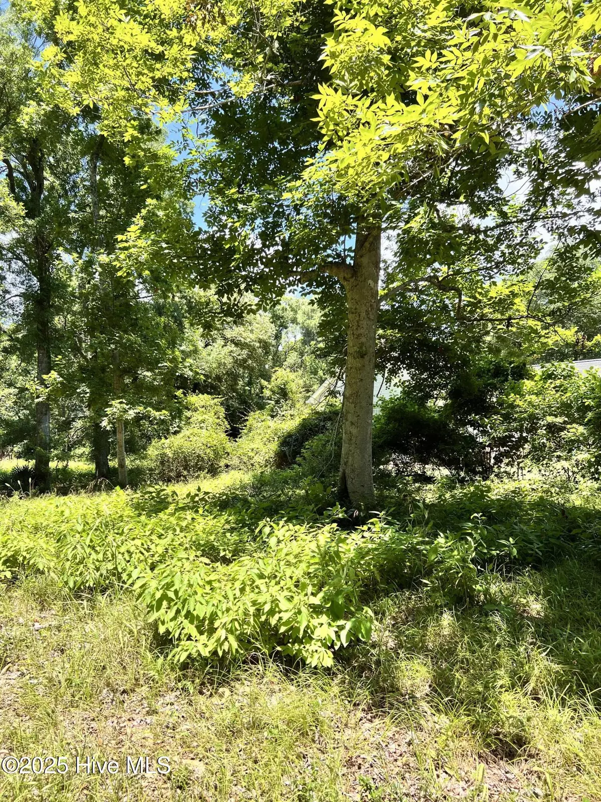 Sunset Beach, NC 28468,9088 Forest DR SW