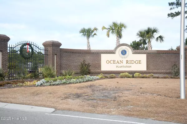 Ocean Isle Beach, NC 28469,6590 Willowbank PL SW