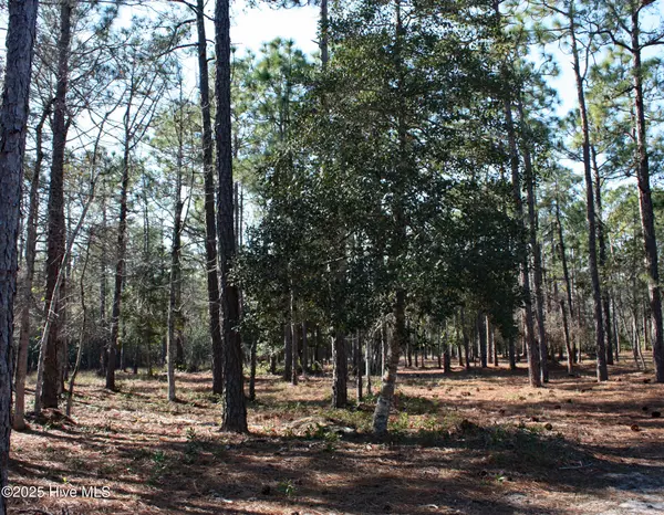 Ocean Isle Beach, NC 28469,6845 Marston PT SW