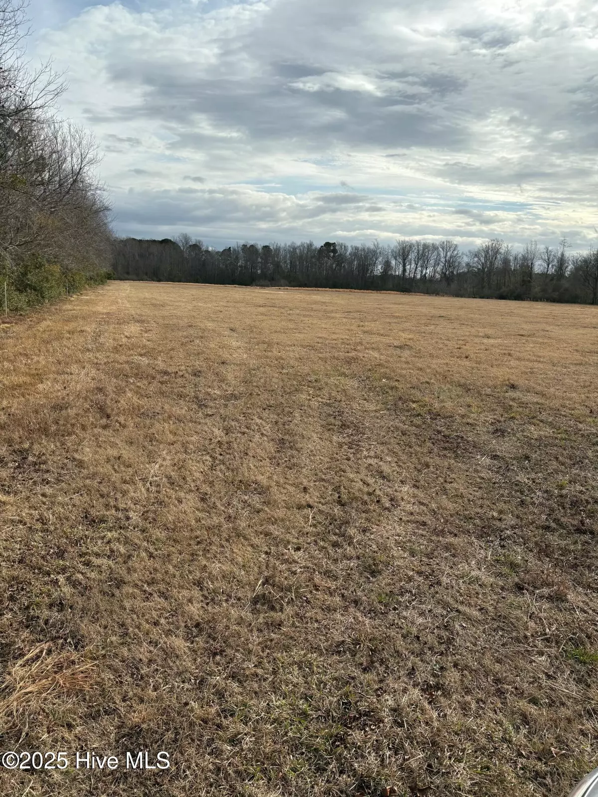 Tabor City, NC 28463,Tba Near 455 Dothan RD