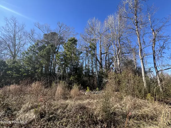 Supply, NC 28462,383 Ocean HWY E