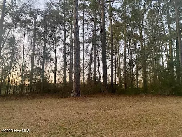 Lot #39 Sunset RD, Wallace, NC 28466