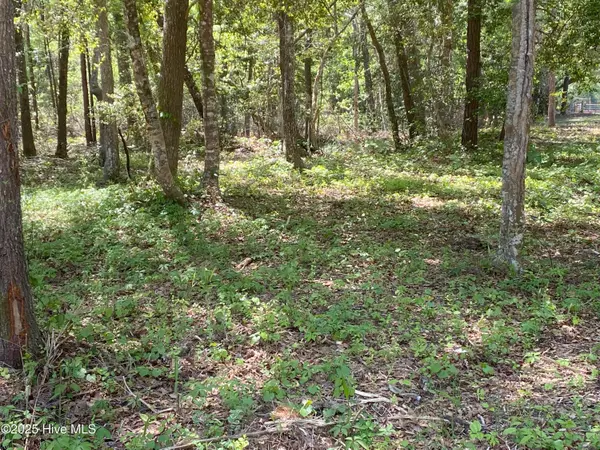 Supply, NC 28462,1359 Sweetwater LN SW