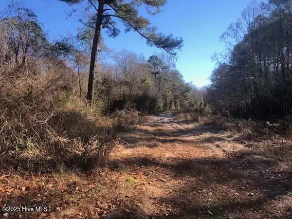 Pinetown, NC 27865,9.78 Ac Sr 1528 Off RD