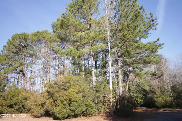 Tabor City, NC 28463,Lot 13 Sykes ST