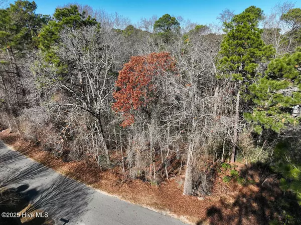 Pinehurst, NC 28374,95 Bridle Path CIR