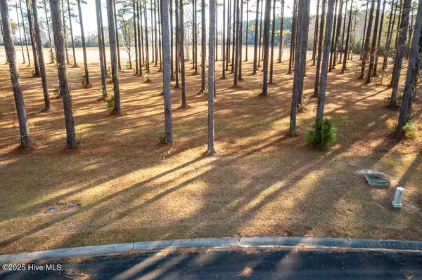 Oriental, NC 28571,167 Frying Pan Loop