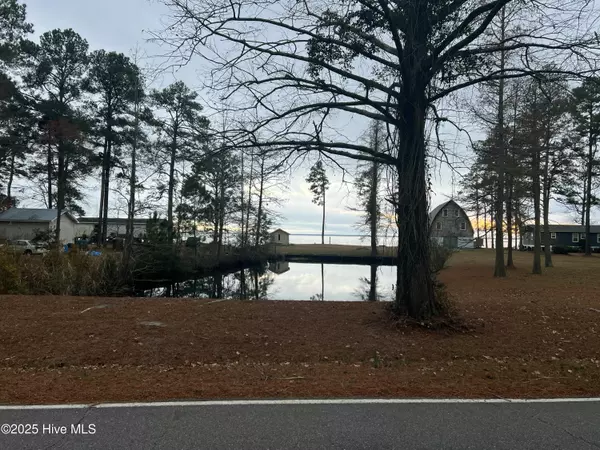 Lot 14 Sr 1730, Belhaven, NC 27810