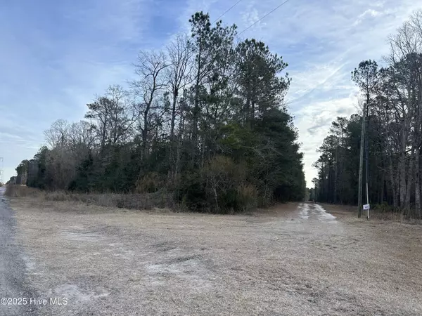 Rocky Point, NC 28457,Tbd Possum Ridge RD