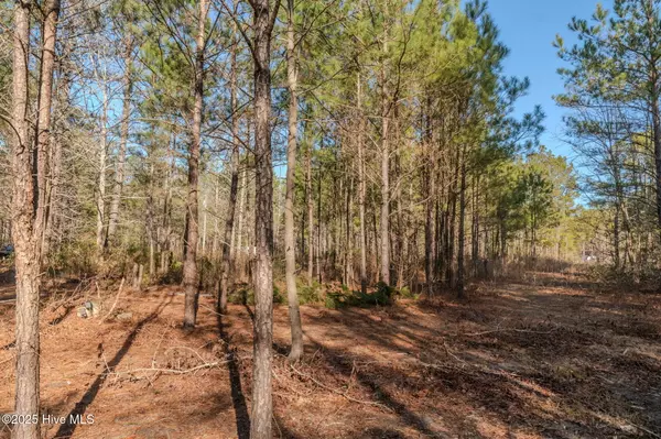 Leland, NC 28451,6725 Sandy Run DR NE