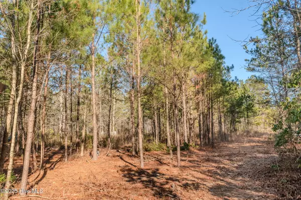 Leland, NC 28451,6725 Sandy Run DR NE