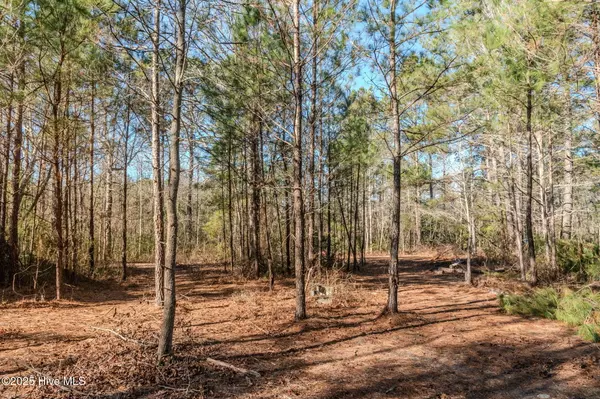 Leland, NC 28451,6725 Sandy Run DR NE