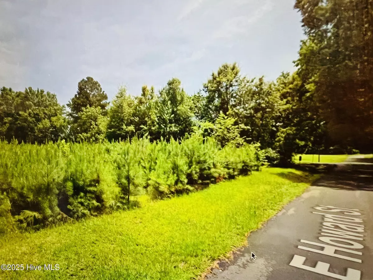 Roseboro, NC 28382,Lot 1 E Howard ST