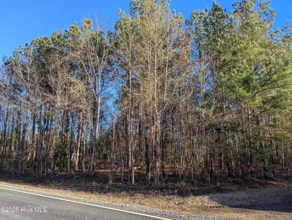 Robbins, NC 27325,207 Hemp ST