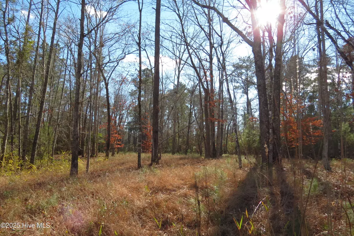Oriental, NC 28571,109 Winding Creek DR