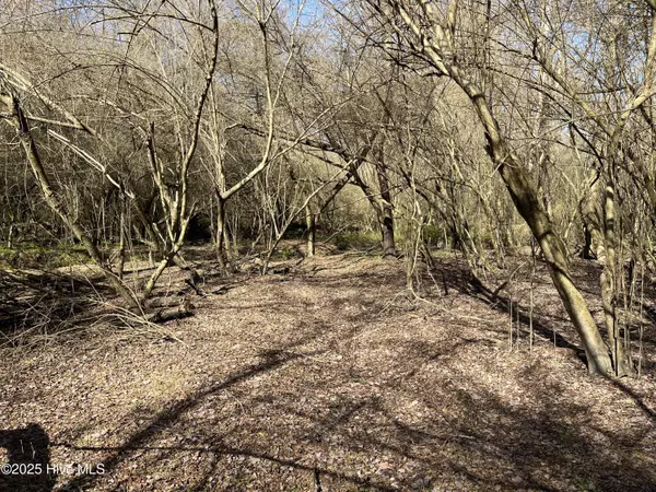 Pink Hill, NC 28572,Tbd Wagon Ford RD