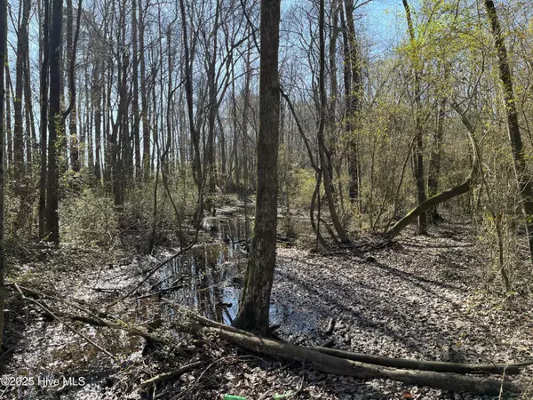 Pink Hill, NC 28572,Tbd Wagon Ford RD