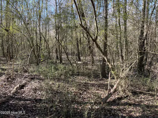 Pink Hill, NC 28572,Tbd Wagon Ford RD