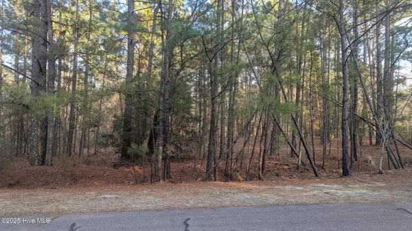 363 Chestnut DR, Vass, NC 28394